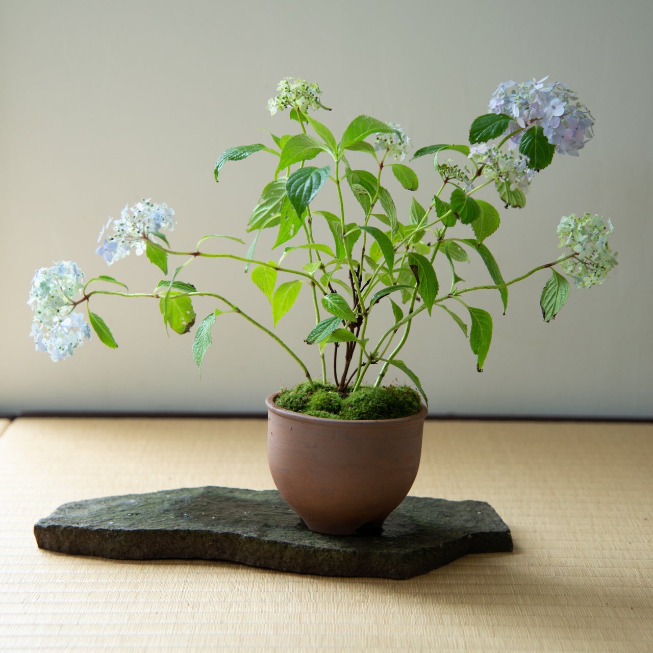 すべての商品 | 鎌倉 緑青