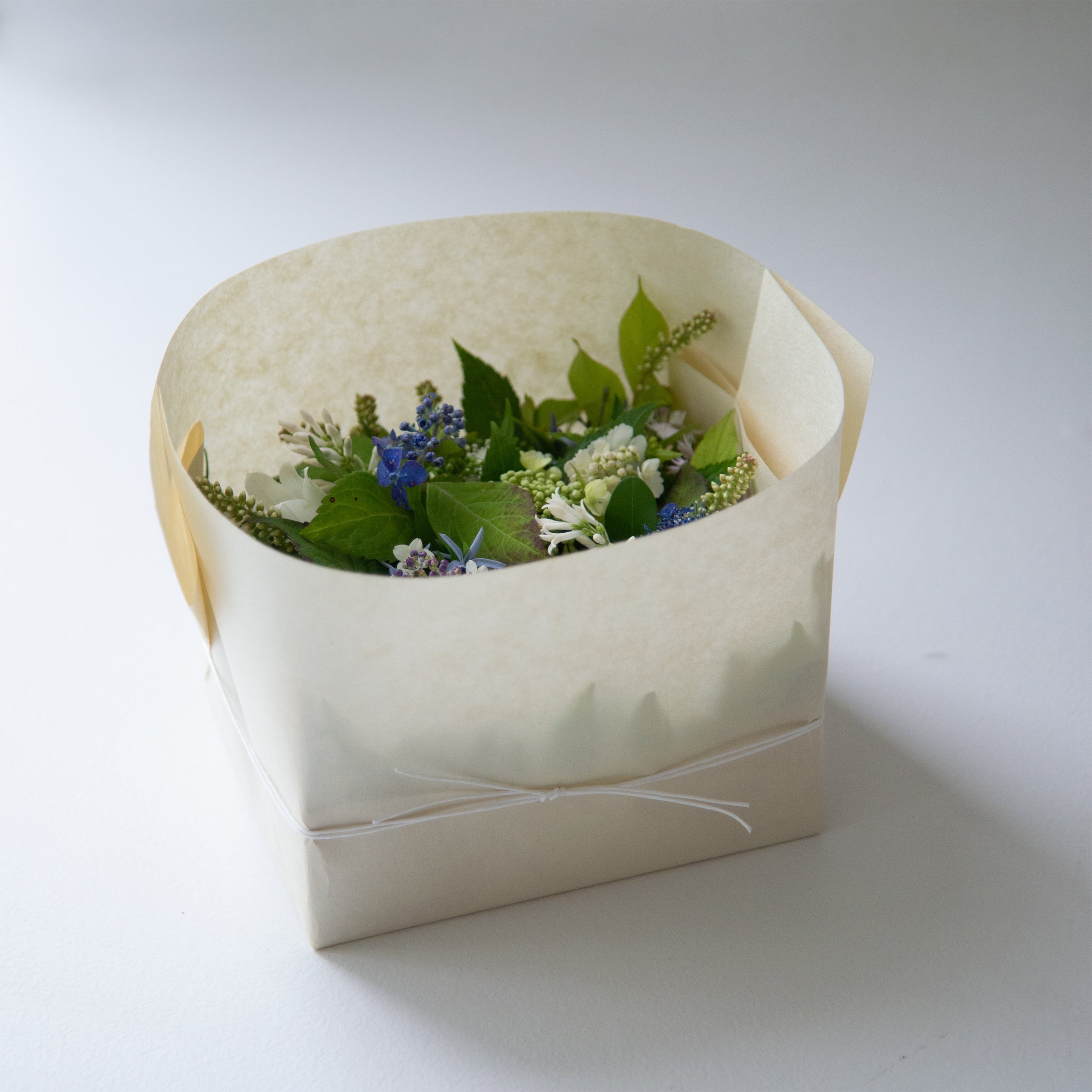 季節の贈り物 ・桐箱｜季のもの | 鎌倉 緑青