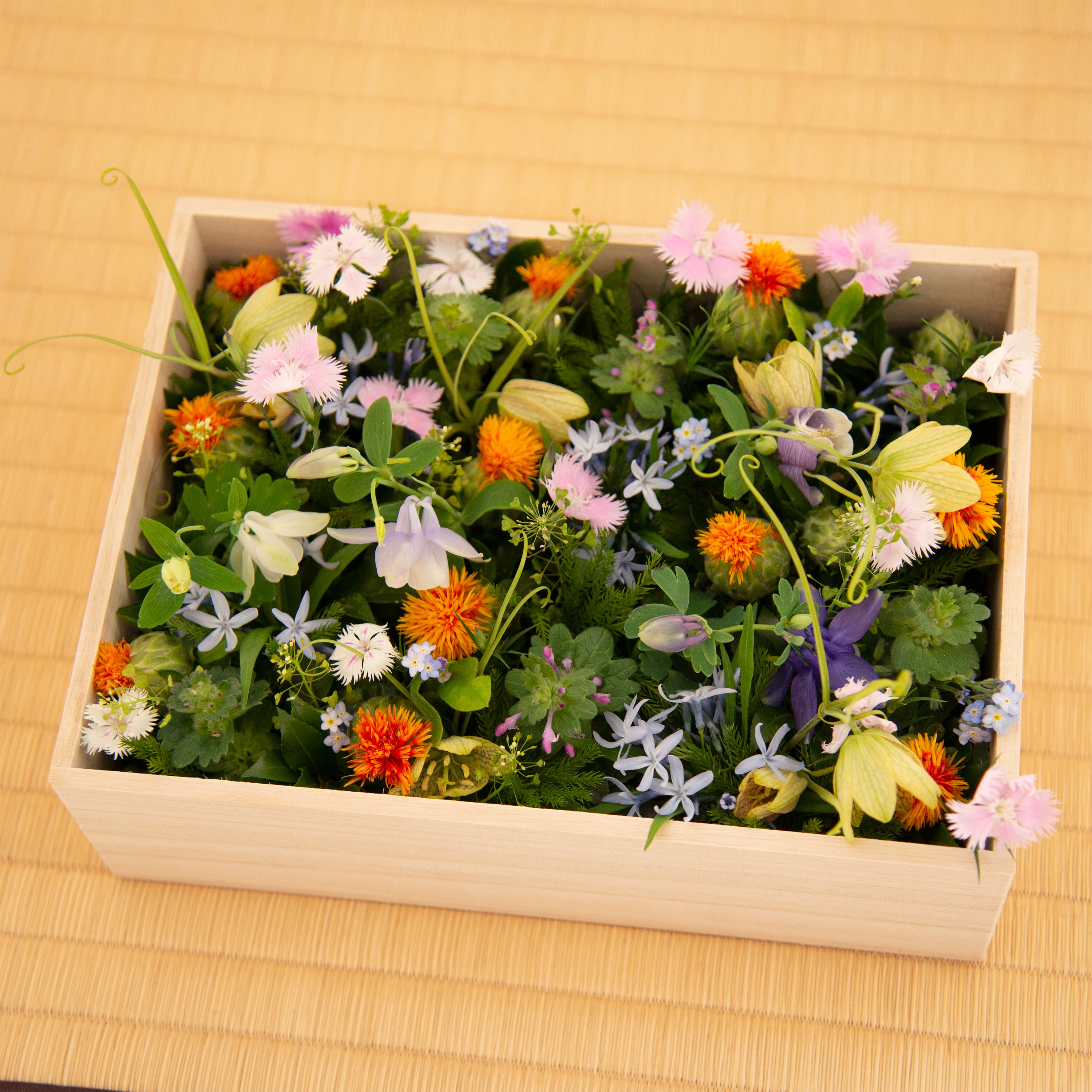母の日の贈り物・桐箱 5/5(火)-5/10(日)届け | 鎌倉 緑青